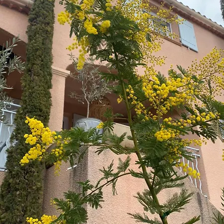 Chez Cathy Et Loïc, Tendresse Dans Maison Provençale Avec Wc Et Salle De Bain Privés *